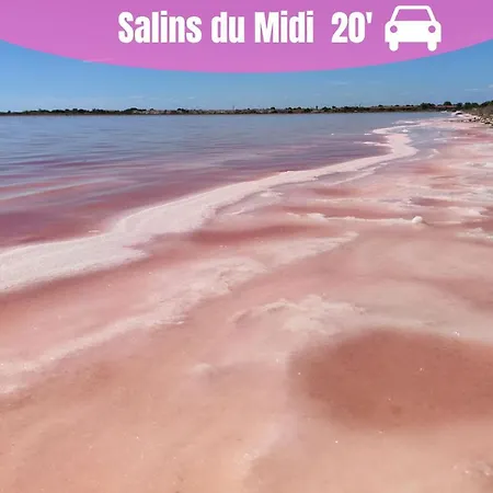 New - Cosy - Plages à 5min - Parking Privé - Wifi - Commerces Au Pied Du Bâtiment *