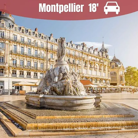Apartament La Casita - Confort Avec Terrasse Et Parking Prive- Motte, Montpellier