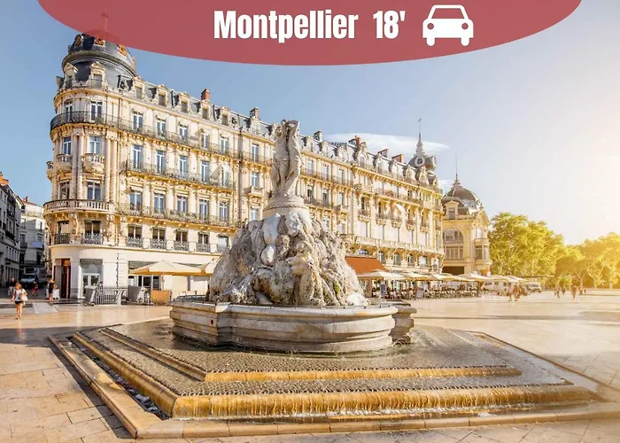 Apartment La Casita - Confort Avec Terrasse Et Parking Prive- Motte, Montpellier